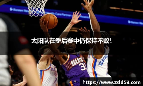 NG体育官网