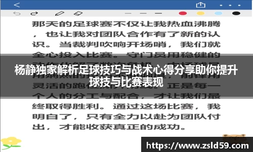 NG体育