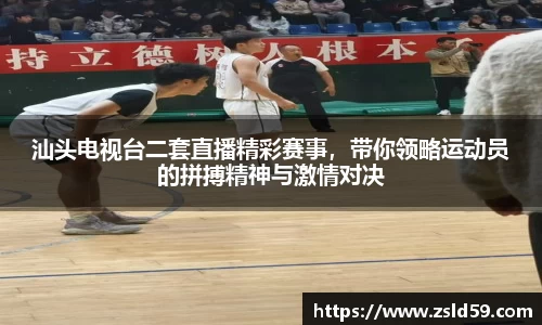 NG体育官网