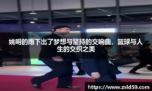 NG体育官网
