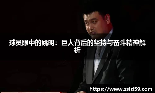NG南宫