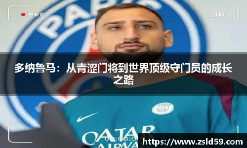NG体育官网